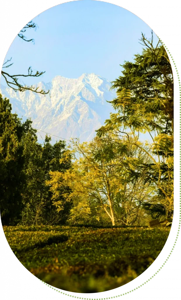 Himachal Pradesh Tour Package